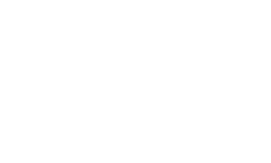 Real Estate Institute Logo